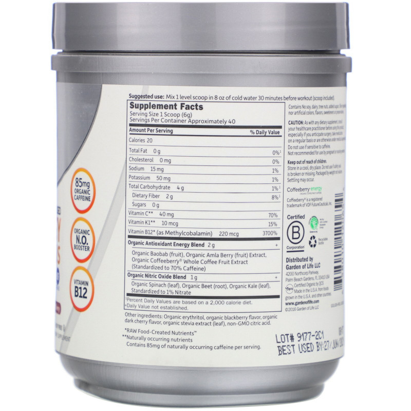 Garden of Life, Sport, Белок на Органической Растительной Основе для Повышения Энергии и Концентрации Перед Тренировкой, Ежевика и Вишня, 8,1 унций (231 г)